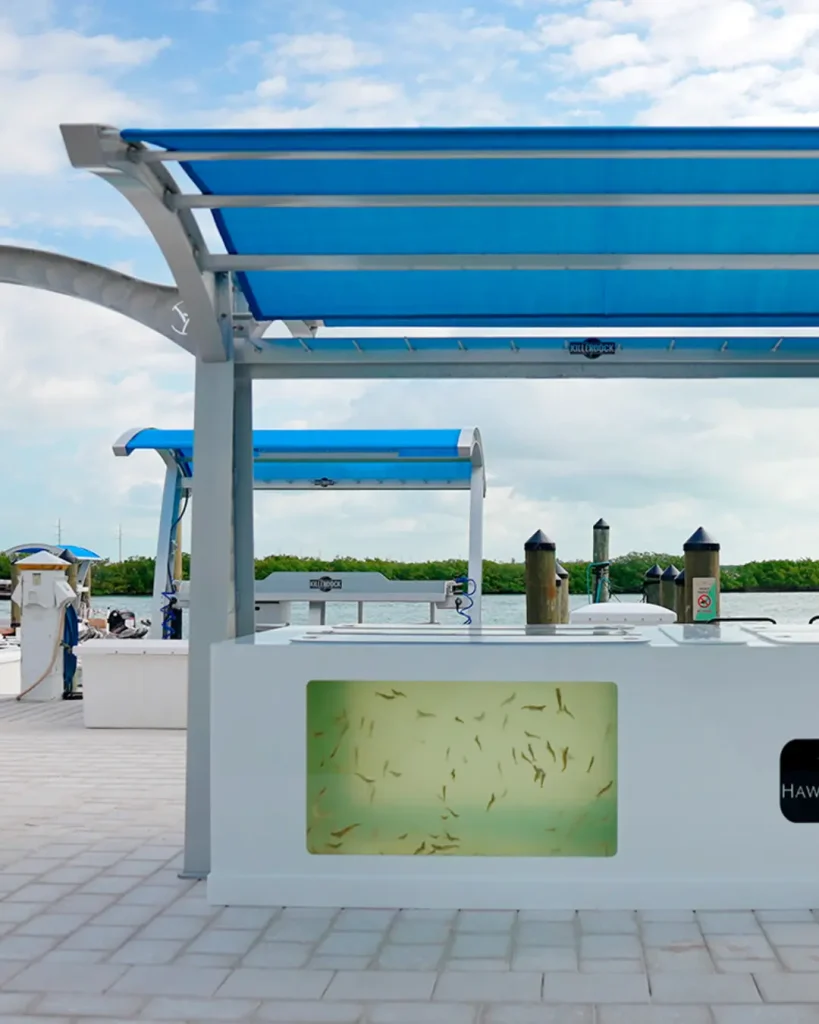 Live Bait - Highlight Image