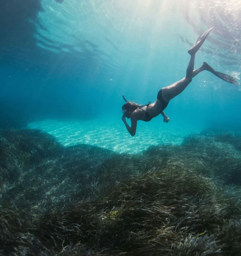 A person snorkeling in clear turquoise water over a lush seagrass meadow with sunlight streaming from above.