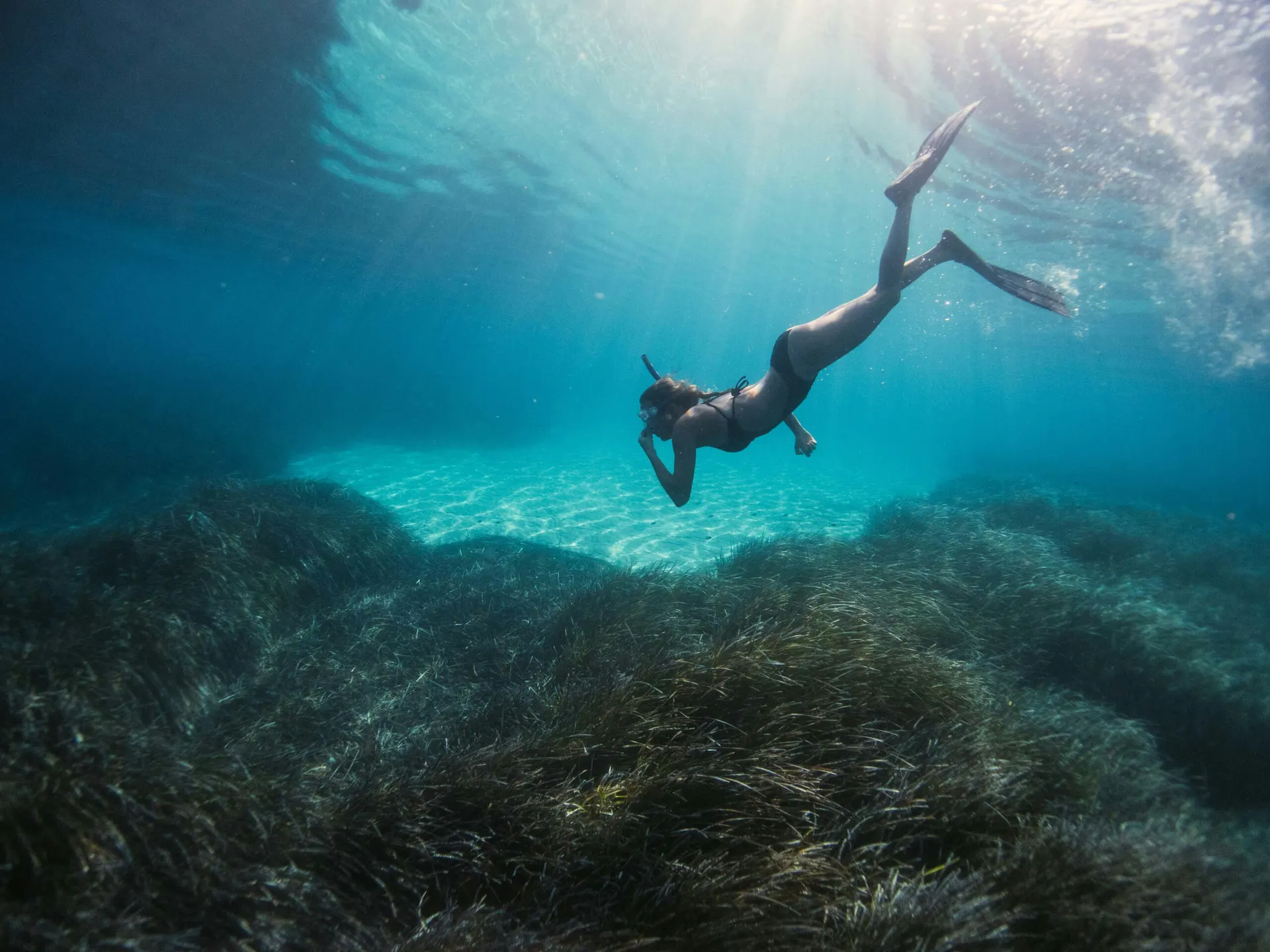 A person snorkeling in clear turquoise water over a lush seagrass meadow with sunlight streaming from above.
