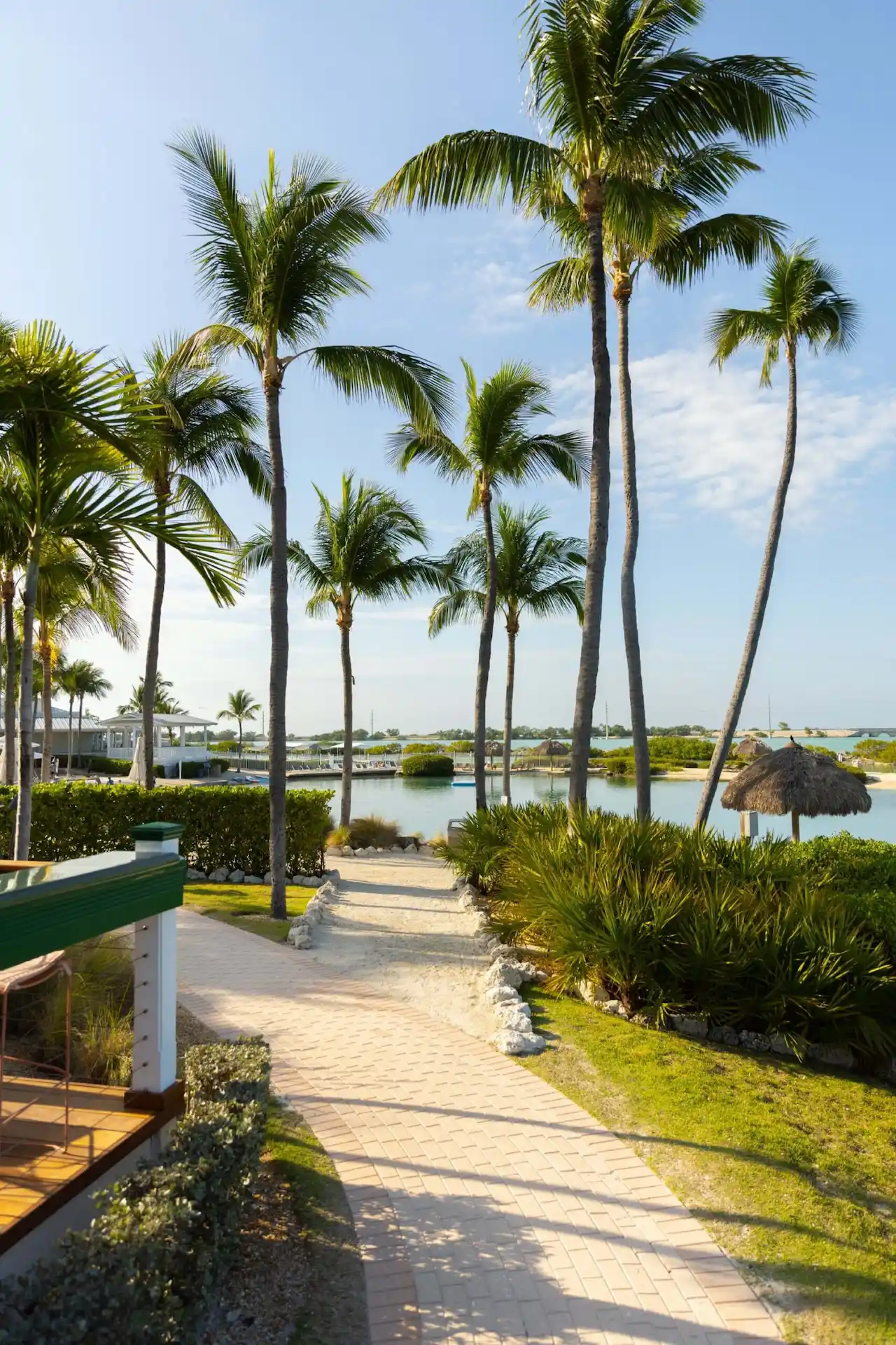 A brick pathway lined with palm trees leading to a tropical lagoon at Hawks Cay Resort under a clear sky.