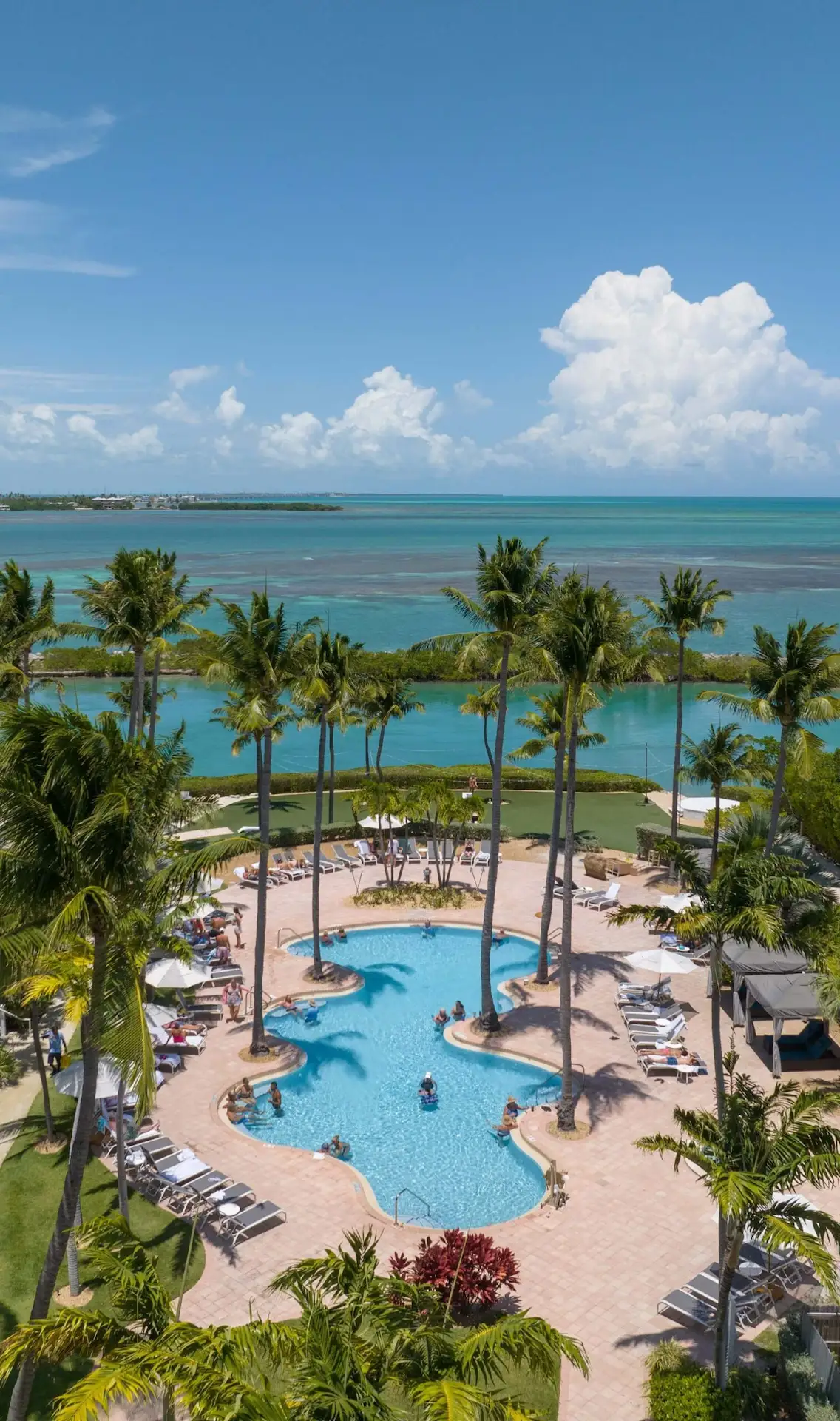 High-angle view of a tropical resort pool surrounded by palm trees, overlooking a turquoise ocean lagoon.