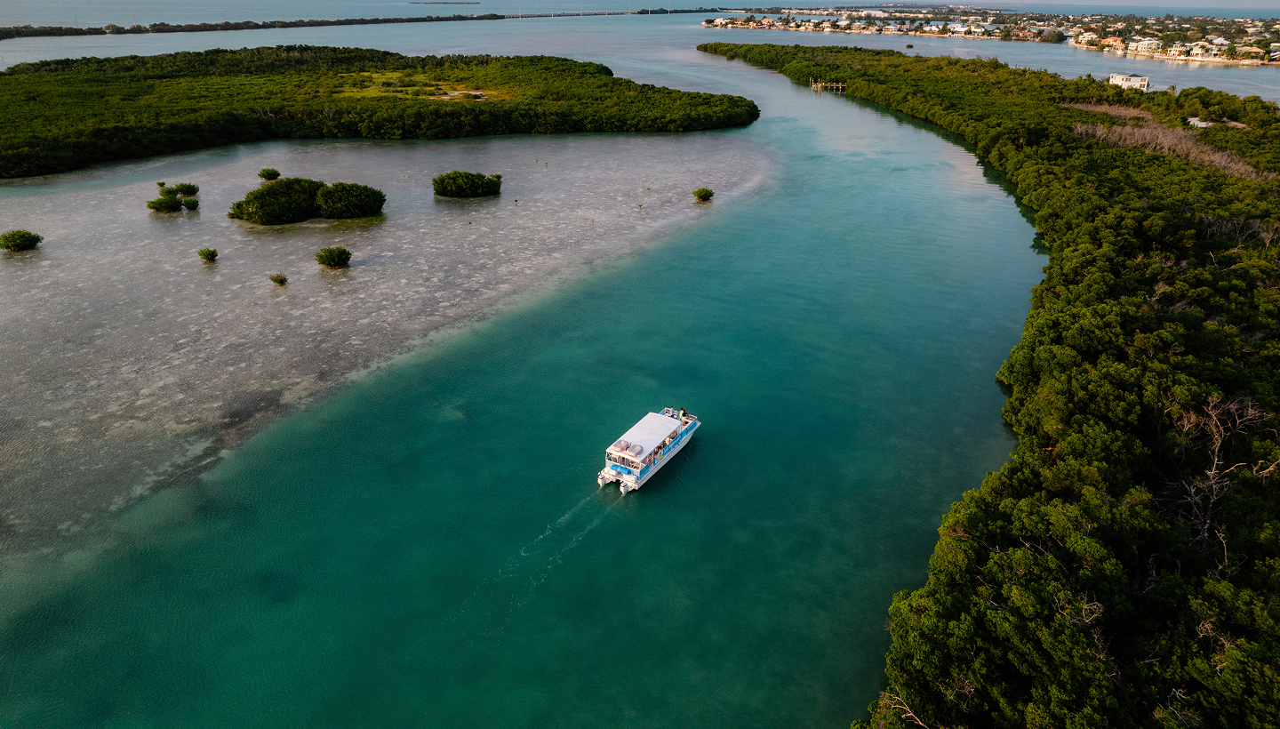 Hero background image