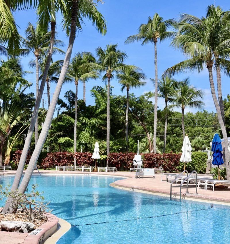 2024-09_HWK_Coral Cay Pool_Unknown Photographer