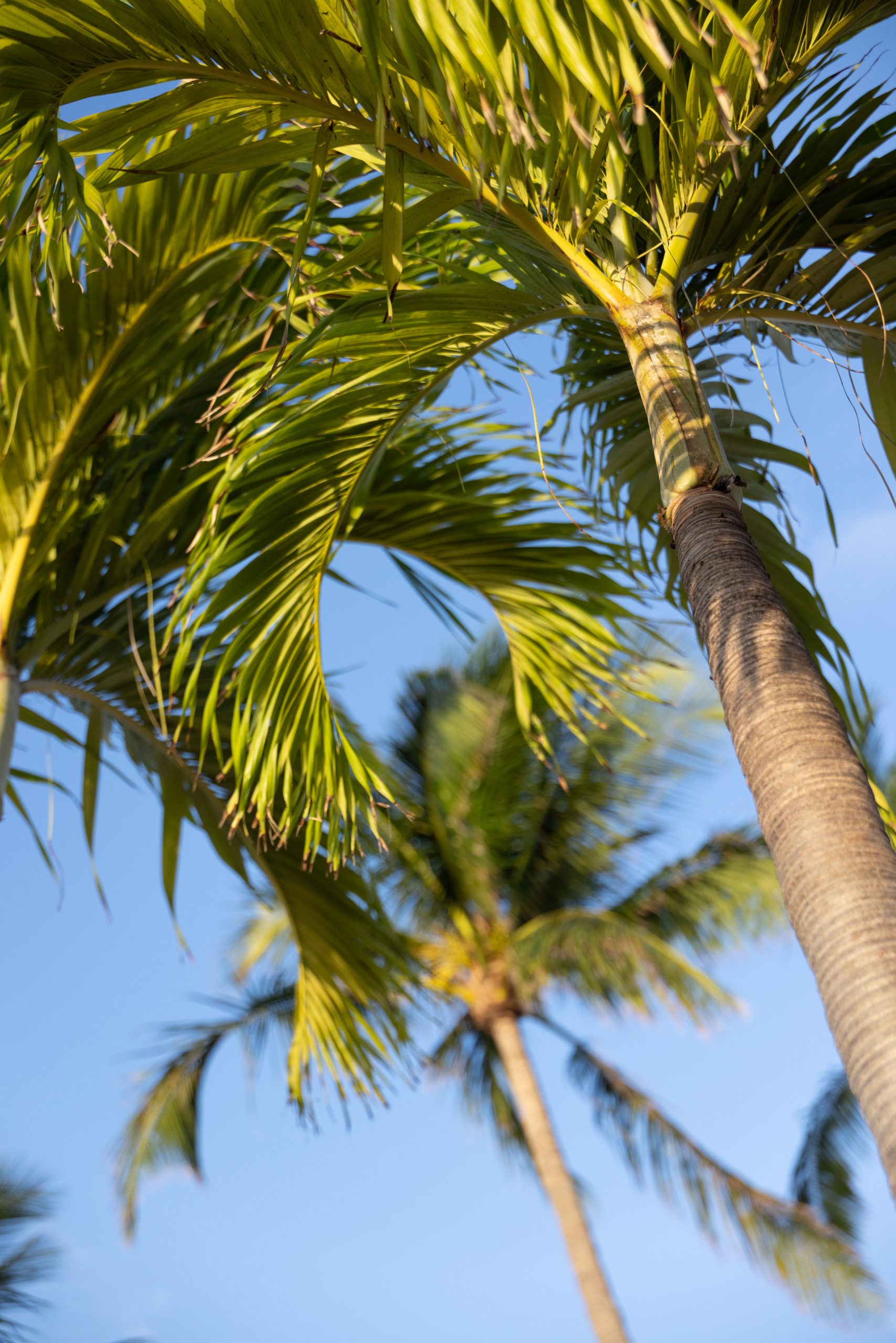 2025-06_HWK_Misc Resort Exteriors & Details_RAW_HI-RES_Conor Doherty8