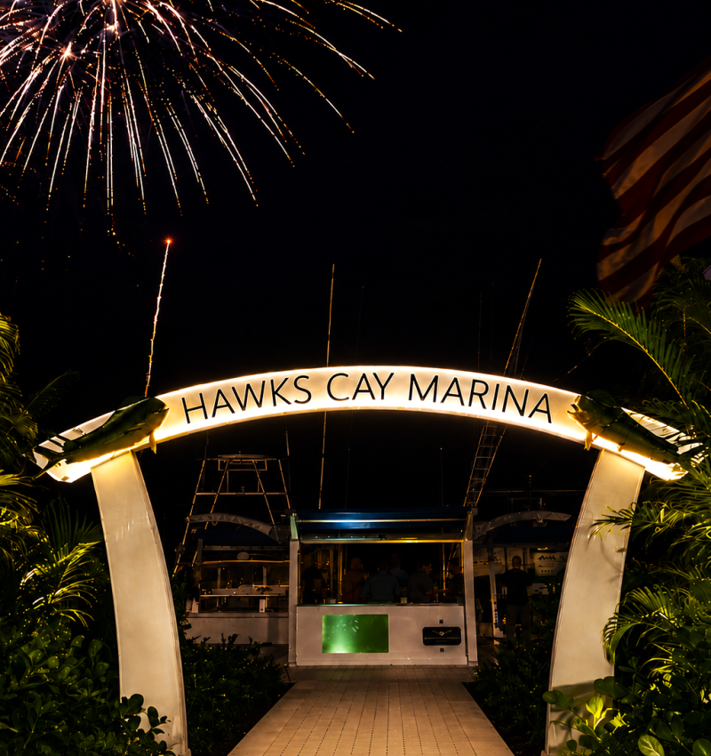 Fireworks over marina