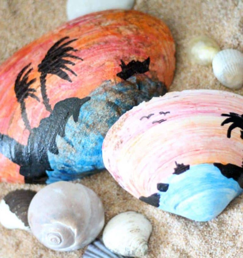 painted shells